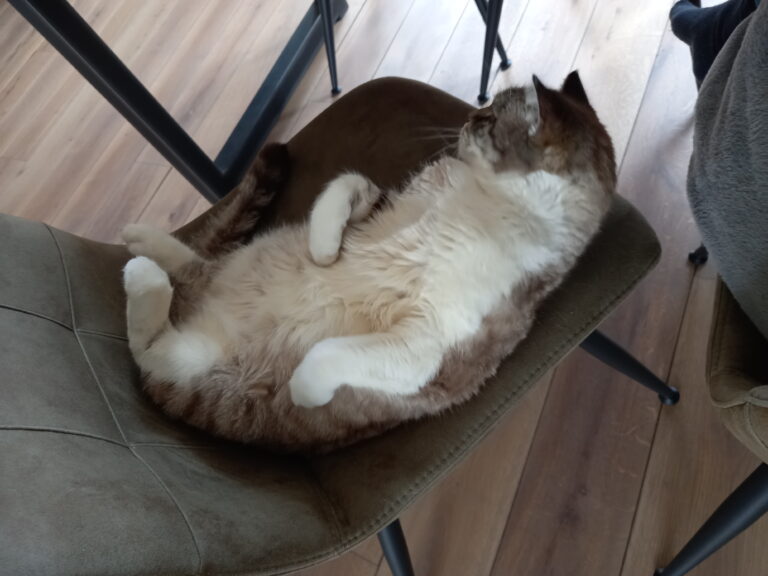 Ik ga 4 maanden op reis en neem mee…