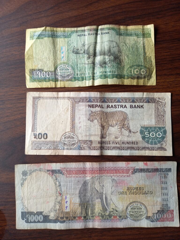 3,5 week nepal: route & budget